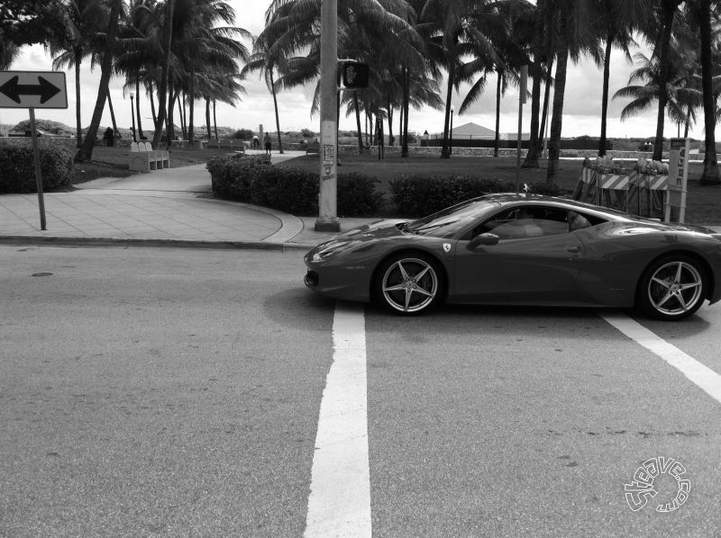South Beach & NCL Pearl - East Caribbean Cruise - November 2010