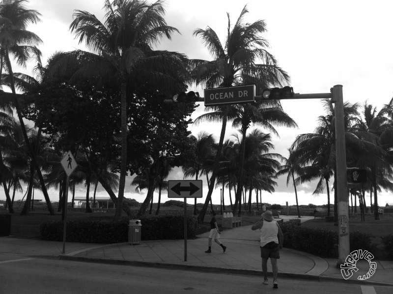 South Beach & NCL Pearl - East Caribbean Cruise - November 2010